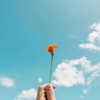 AG百家家乐app下载手机版