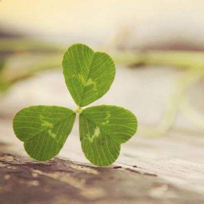 pk10赛车下载手机版